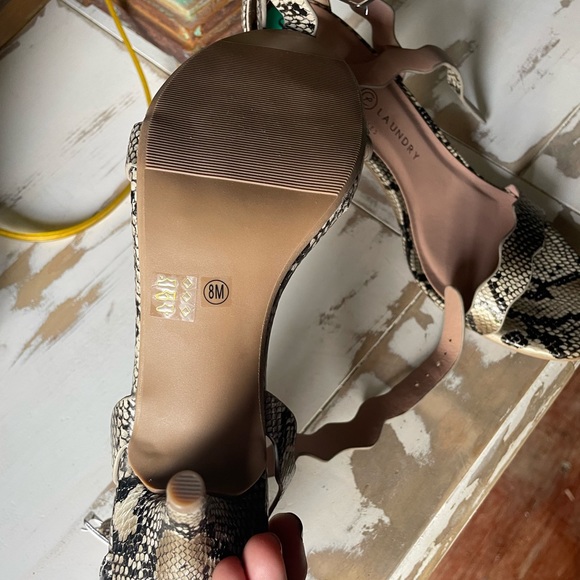 Chinese Laundry - Picture 3 of 5